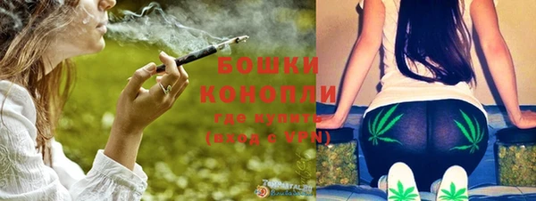 шишки Волоколамск